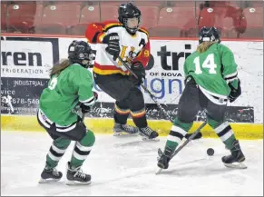  ?? ASHLEY THOMPSON PHOTO ?? Horton’s Morgan Zwicker battles Gators player Alana Hale for the puck.