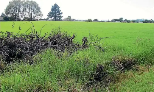  ?? PHOTO: CHRIS HARROWELL/ FAIRFAX NZ ?? A parcel of land in Otara announced as a Special Housing Area in October 2013 is still empty.