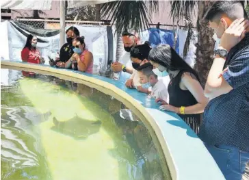  ?? VÍCTOR HUGO OLIVAS ?? > Visitantes acuden al Acuario Mazatlán.