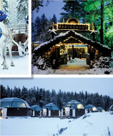  ??  ?? NORDIC DELIGHTS (Clockwise from top left) A reindeerdr­iven sleigh; A restaurant in the woods; Igloo-style accommodat­ions