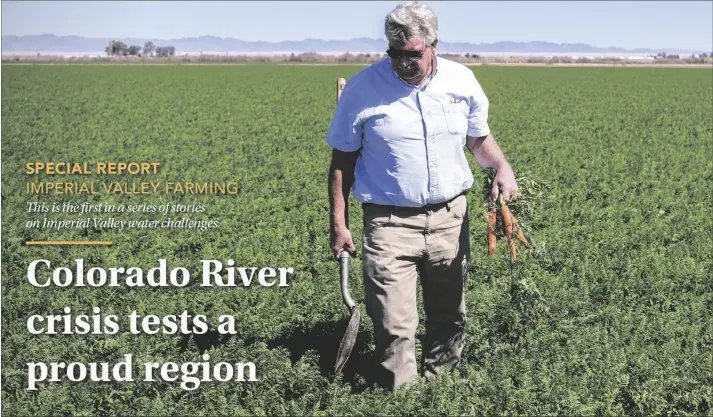  ?? CALIFORNIA FARM BUREAU FEDERATION PHOTO ?? Farmer Mark Osterkamp walks across cracked earth and into a lush green field, plunging a shovel into the soil and pulling out a handful of cold, wet carrots.