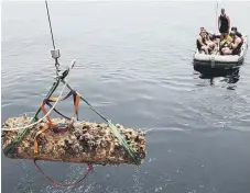  ?? ?? Crew craning recovered sea mine
Picture: Lt Timmis/UK MOD Crown