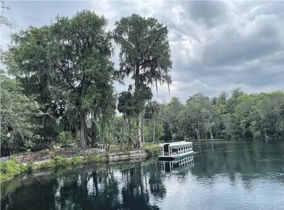  ?? KIM PEMBERTON PHOTOS ?? Silver Springs State Park in Ocala has a lovely boardwalk trail but is best known for its glass-bottom boats.