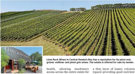  ??  ?? Lime Rock Wines in Central Hawke’s Bay has a reputation for its pinot noir, gru¨ ner veltliner and pinot gris wines. The estate is offered for sale by tender.