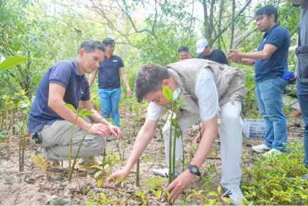  ?? PHOTOGRAPH COURTESY OF DLEC ?? CLIMATE Change Commission vice chairperso­n and executive director Robert E.A. Borje (second from right) plant mangrove propagules together with volunteers of Davao Light and Energy Co. at the Aboitiz Cleanergy Park in Punta Dumalag, Davao City last 4 May 2024.