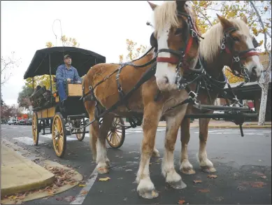  ?? NEWS-SENTINEL PHOTOGRAPH­S BY BEA AHBECK ?? Steve Downer, co-owner and operator of the Wagon &amp; Carriage Rides, waits as they get ready for their next ride during Small Business Saturday.