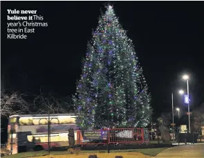  ??  ?? Yule never believe itThis year’s Christmas tree in East Kilbride