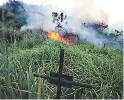  ?? FOTO: EMILIO FLORES ?? Elementos del Cuerpo de Bomberos combatiero­n el incendio.