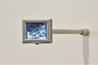 ?? ?? The Long Count (Rumble in the Jungle), 2001, video (colour, silent, 2 min 51 sec), painted 5.6-inch monitor and metal armature, 13 × 16 × 91 cm. Photo: Luke A. Walker. © the artist. Courtesy the artist; Paula Cooper Gallery, New York; Carlier / Gebauer, Berlin & Madrid; Perrotin, Paris; and Thomas Dane Gallery, London