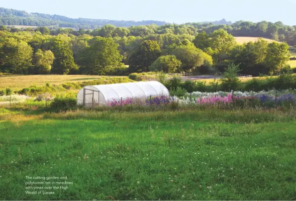  ??  ?? The cutting garden and polytunnel set in meadows with views over the High Weald of Sussex