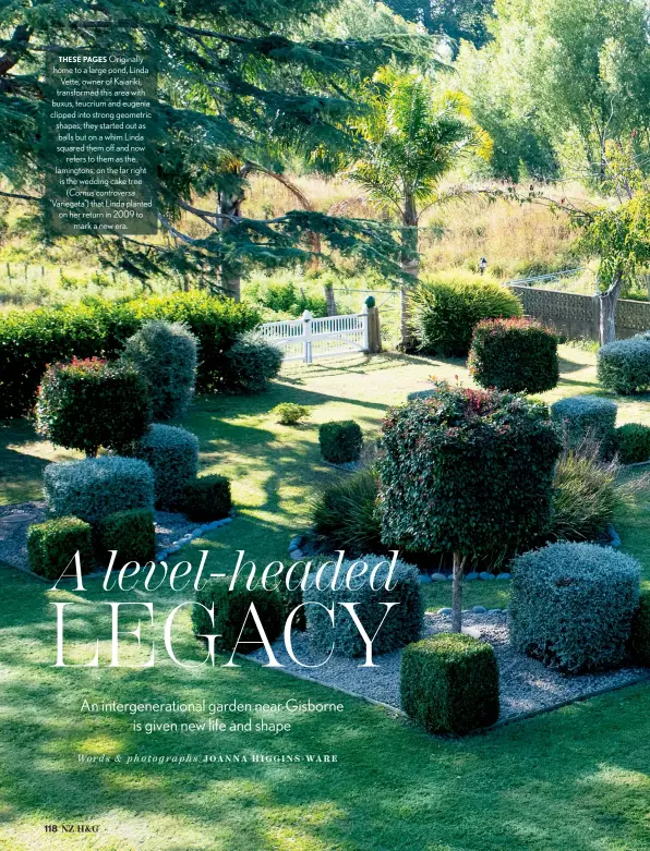  ??  ?? THESE PAGES Originally home to a large pond, Linda Vette, owner of Kaiariki, transforme­d this area with buxus, teucrium and eugenia clipped into strong geometric shapes; they started out as balls but on a whim Linda squared them off and now refers to them as the lamingtons; on the far right is the wedding cake tree (Cornus controvers­a ‘Variegata’) that Linda planted on her return in 2009 to mark a new era.