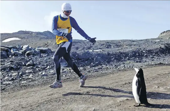  ?? JOEL ESTAY/GETTY IMAGES ?? Marathons in the Antarctic are popular among runners. Marathon Tours and Travel’s race is sold-out for 2016 and 2017, although hopefuls can get on a waiting list.