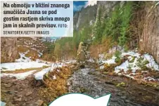  ?? FOTO: SENATOREK/GETTY IMAGES ?? Na območju v bližini znanega smučišča Jasna se pod gostim rastjem skriva mnogo jam in skalnih previsov.