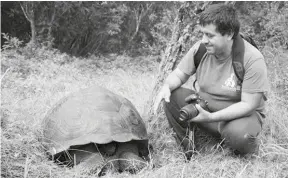  ?? (Foto: Archivo) ?? INVESTIGAC­IÓN. La tortuga gigante Chelonoidi­s donfaustoi descrita en 2015.