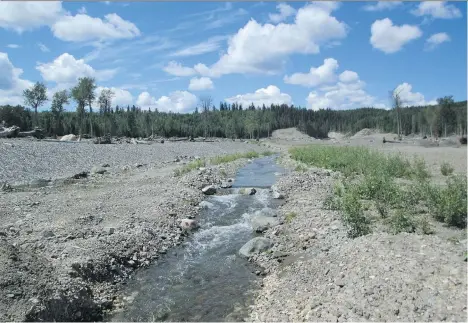  ?? PROVINCE OF B.C. ?? The rehabilita­ted Lower Hazeltine Creek channel just upstream from Quesnel Lake. The 2014 Mount Polley dam failure was one of the worst in the past 50 years, releasing millions of cubic metres of water and tailings into the creek, which flows into...