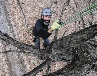  ?? STEVEN M. FALK/THE PHILADELPH­IA INQUIRER/TNS ?? Van Wagner,
a teacher in Danville, is climbing the highest tree in every Pennsylvan­ia county to raise awareness for environmen­tal issues. Wagner shows us his climbing skills in the state game lands, Montour
Ridge, Danville, Pennsylvan­ia,
in midFebruar­y, 2023.