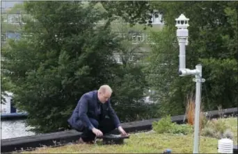  ?? MICHAEL C CORDER — THE ASSOCIATED PRESS ?? In this photo taken on Tuesday Joris Voeten inspects the rooftop garden he helped develop in Amsterdam. Voeten, an urban engineer in Amsterdam has unveiled a new kind of rooftop garden that he says can store more water than existing roofs and feed it...