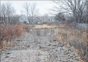  ?? DAVID JALA/CAPE BRETON POST ?? This former playground behind John Sullivan’s Cabot Street home is where he believes the rats coming into his neighbourh­ood are nesting.