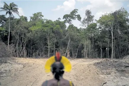  ?? Leo Correa, Associated Press file ?? Chief Kadjyre Kayapo, leader of the Krimej village, looks at a path created by loggers on the boundary between the Biological Reserve Serra do Cachimbo, front, and Menkragnot­ire Indigenous lands, in Altamira, Brazil.