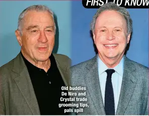  ?? ?? Old buddies De Niro and Crystal trade grooming tips,
pals spill