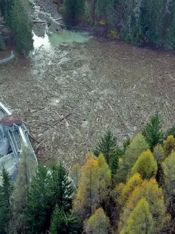  ??  ?? La strage di alberi Un’immagine scattata dall’elicottero delle migliaia di alberi abbattuti dal vento e crollati su una diga del Bellunese