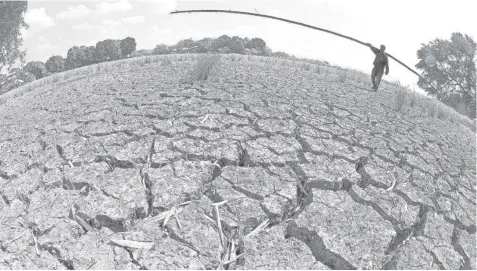  ?? KRIZJOHN ROSALES ?? A farmer walks over cracked soil on a dried up Nueva Ecija field in this file photo. Temperatur­es are expected to soar across large parts of the world after the El Niño weather pattern emerged in the tropical Pacific for the first time in seven years.