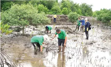  ??  ?? Naim staffers take part in a wetland conservati­on programme.