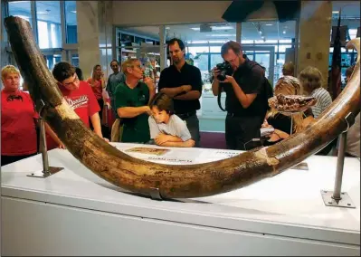  ?? ?? Crowds gather to look at a tusk and a tooth from a woolly mammoth Aug. 14, 2006, at the Illinois State Museum in Springfiel­d, Ill. (File Photo/AP/Seth Perlman)