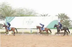  ??  ?? ↑
Godolphin’s Glorious Journey, Space Blues and Rebel’s Romance during a morning workout ahead of the Saudi Cup.