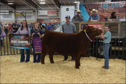  ?? Sara Waite / Sterling Journal-advocate ?? Trotter Thomas' Grand Champion Beef sold for $12,000 to Circle L Irrigation at the Bud Van Berg Memorial 4-H/FFA Junior Livestock Sale.