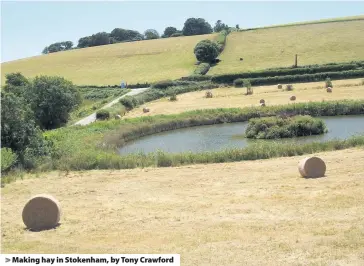  ??  ?? > Making hay in Stokenham, by Tony Crawford