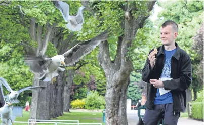  ?? Picture: Kris Miller. ?? Gulls harry Peter Menellis as he enjoys a pie in Beveridge Park.