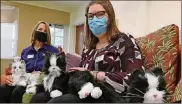  ?? AMY BETH
BENNETT/SOUTH FLORIDA SUN SENTINEL/TNS ?? Assistant Professor of Nursing Lisa Kirk Wiese, left, and nursing student Melissa Johnston sit with three robotic cats at the Louis and Anne Green Memory & Wellness Center at Florida Atlantic University on June 2.