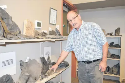  ?? JEREMY FRASER/CAPE BRETON POST ?? Stuart Critchley, curator for the Sydney Mines Heritage Society, shows fossils at the Cape Breton Fossil Centre in Sydney Mines. The Sydney Mines museums broke attendance records this year with more than 10,700 visitors attending the location.