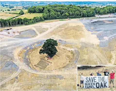  ?? ?? The Somerset site of the ‘Camel Queen’ oak is being guarded by groups of protesters, some of whom are camping in its branches, to stop it being felled to make way for a slip road