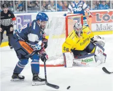  ?? FOTO: FELIX KÄSTLE ?? Das erste Spiel gegen die Lausitzer Füchse in dieser Saison gewannen die Ravensburg Towerstars mit 9:2.