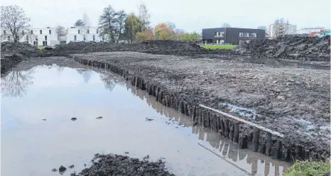  ?? FOTO: TALPA GNBR ?? Römerstraß­e durch das Rheindelta in Hard: Über 60 Meter Länge wurde eine hölzerne Befestigun­g parallel zur südlichen Straßenkan­te freigelegt.