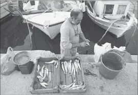  ?? Kostas Tsironis ?? A FISHERMAN prepares his catch for sale in Corinth, Greece. The government has warned that upbeat forecasts will not mean an end to austerity measures.