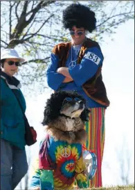  ?? Arkansas Democrat-Gazette/JEFF MITCHELL ?? Costumed and high-jumping canines are special guests at family-friendly Springfest. This is the second year for the Riverfest off-shoot.