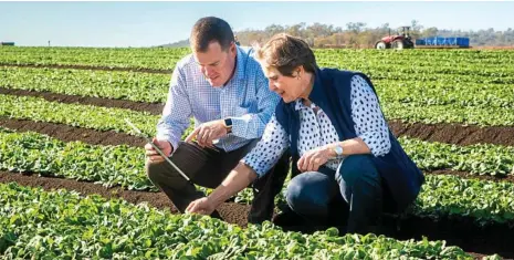  ?? PHOTO: MATT RYAN ?? AHEAD OF THE FIELD: Food Leaders Australia general manager Bruce McConnel and TSBE’s Geraldine Doumany use new technology in the paddock.