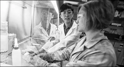  ??  ?? Clarissa Sit, left, assistant professor in chemistry at Saint Mary’s University, looks for antifungal compounds that are produced by bacteria with senior undergradu­ate student Kaitlyn Blatt-janmaat inside a SMU research lab recently.