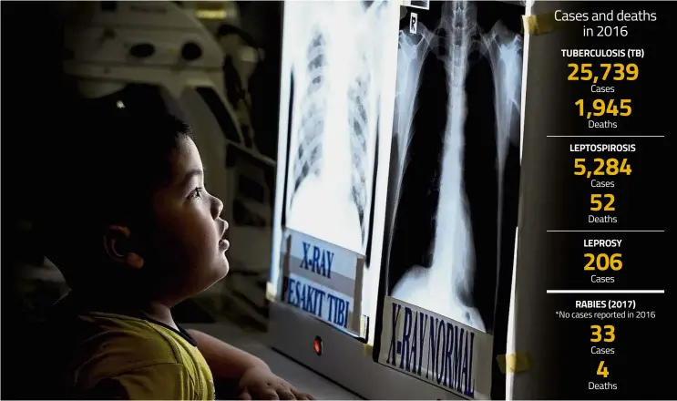  ?? — Bernama ?? Early awareness: A boy looking at the difference­s between the X-rays of a TB patient and a normal person at the Penang Hospital’s Respirator­y Department during the TB and Leprosy Day 2017.