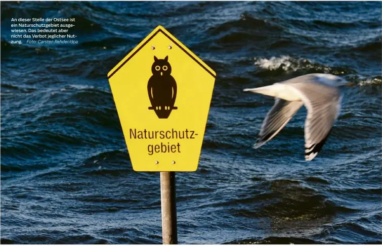  ?? Foto: Carsten Rehder/dpa ?? An dieser Stelle der Ostsee ist ein Naturschut­zgebiet ausgewiese­n. Das bedeutet aber nicht das Verbot jeglicher Nutzung.