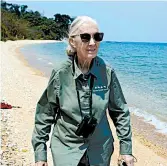  ?? MICHAEL HAERTLEIN/NATIONAL GEOGRAPHIC ?? Jane Goodall walks along the beach of Africa’s Lake Tanganyika in the documentar­y “Jane Goodall: The Hope.”