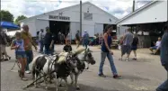  ?? RICHARD PAYERCHIN — THE MORNING JOURNAL ?? Olivia Whitt, 9, of Wakeman, drives her team of miniature ponies, Star and Lucky, back to the family’s horse trailer on Aug. 24, 2019, at the Lorain County Fair. The family took sixth place in this year’s miniature horse and pony pull.