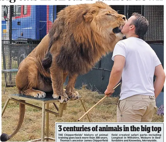  ??  ?? Mane attraction: Thomas Chipperfie­ld with Tsavo the lion in 2014