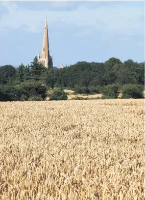  ??  ?? Outside the CAP, we can cut food prices while rewarding farmers, who are the stewards of the British landscape