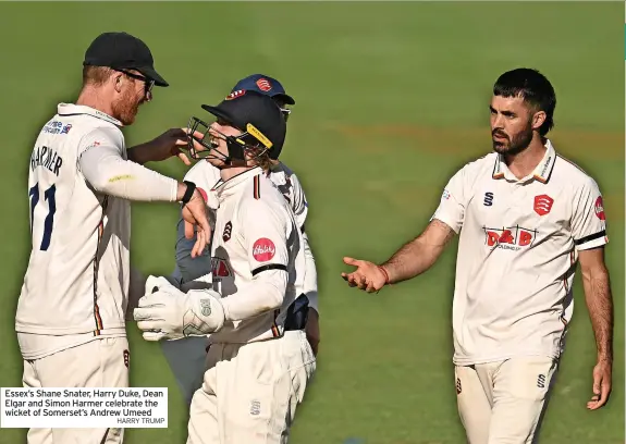  ?? HARRY TRUMP ?? Essex’s Shane Snater, Harry Duke, Dean Elgar and Simon Harmer celebrate the wicket of Somerset’s Andrew Umeed