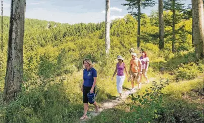  ??  ?? Durch natürliche Wassertret­stellen am Kneippwand­erweg in Olsberg kann nach der Lehre von Pfarrer Kneipp die Wasserther­apie mit dem Thema Wandern verbunden werden.