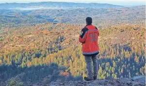  ?? CALAVERAS COUNTY SHERIFF’S OFFICE ?? A member of the Calaveras County Sheriff’s Office Search and Rescue looks out over the vast wilderness near the town of Arnold during the search for Ann Herford. The traveling nurse from Michigan was reported missing Nov. 14.